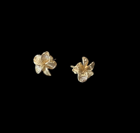 Aretes oro 14 k